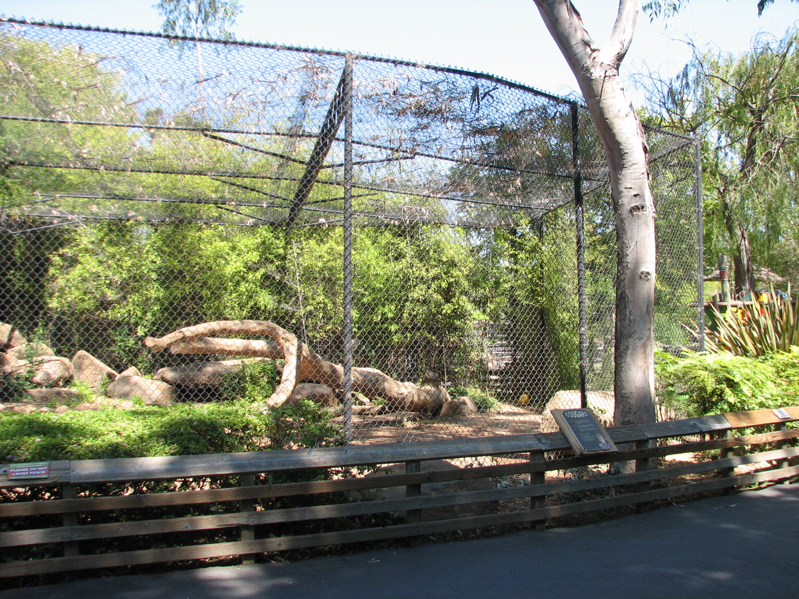 Cougar Rocks - Exhibit