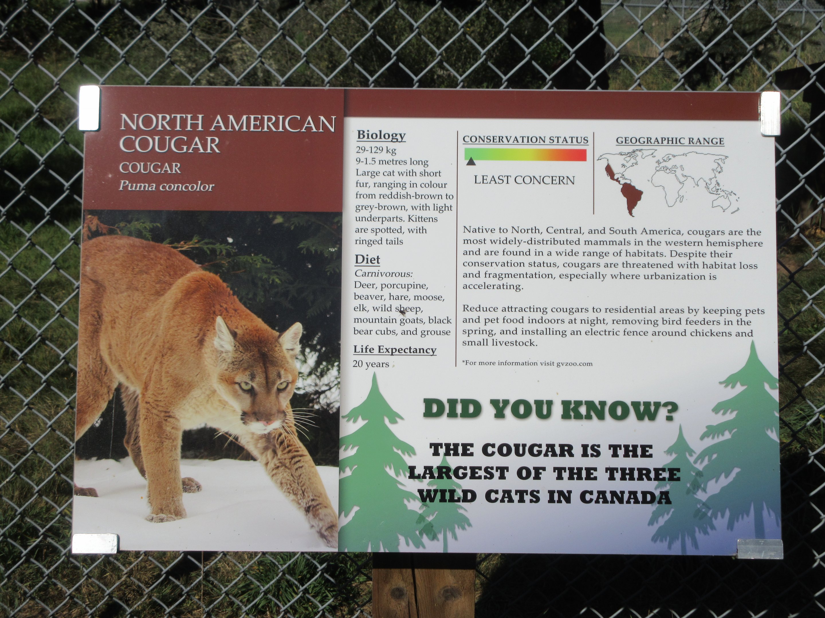 Cougar Sign