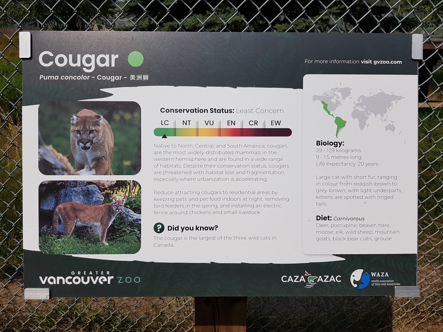 Cougar Sign