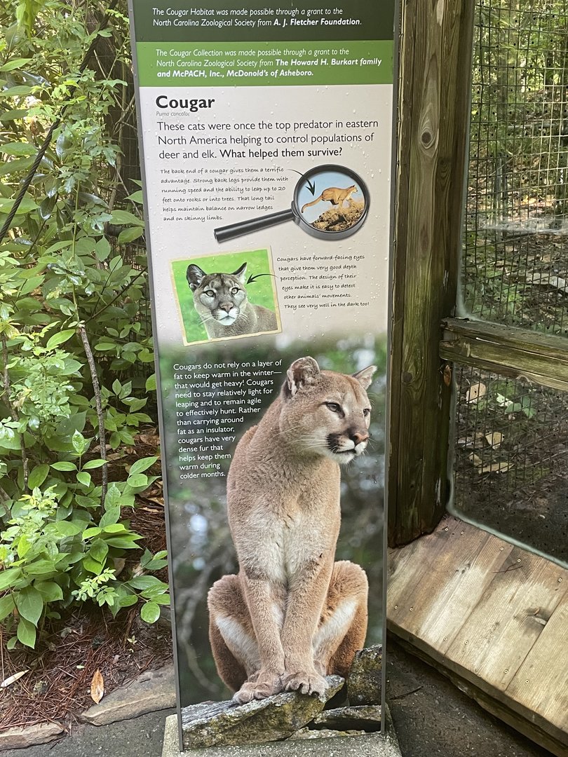 Cougar Signage