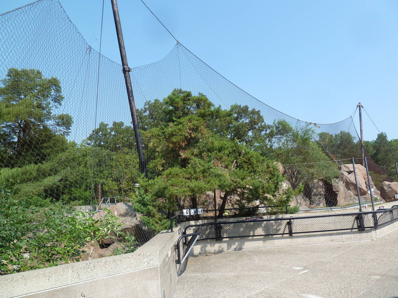 Cougar + Snow Leopard Exhibits