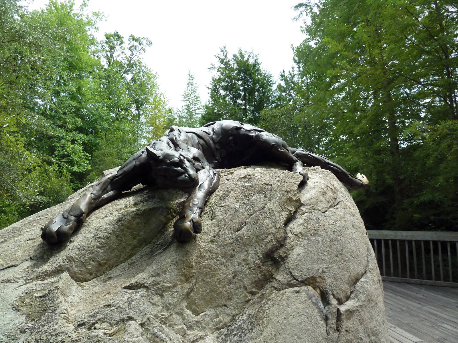 Cougar Statue