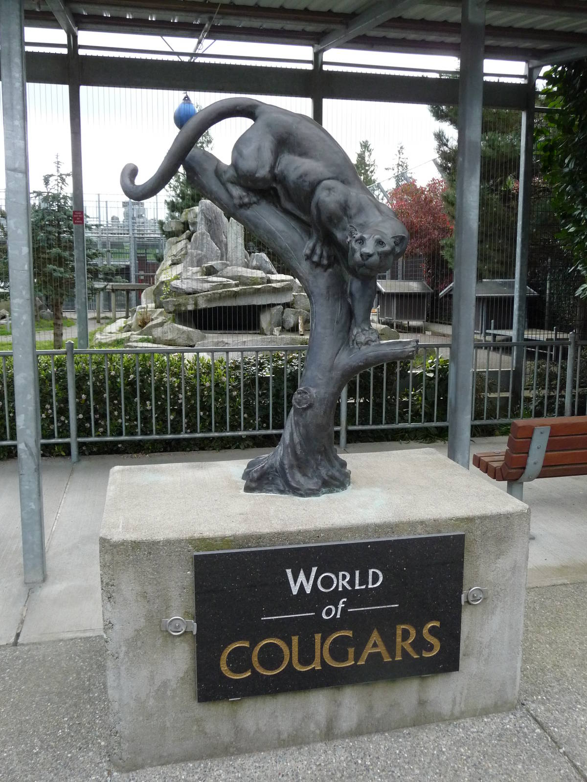 Cougar Statue