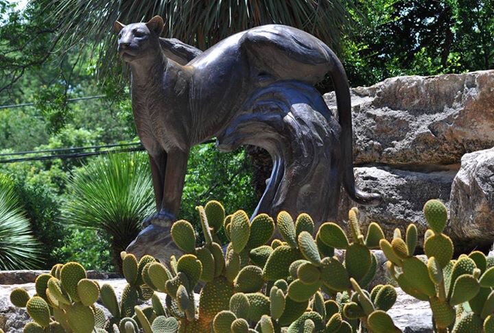 Cougar Statue