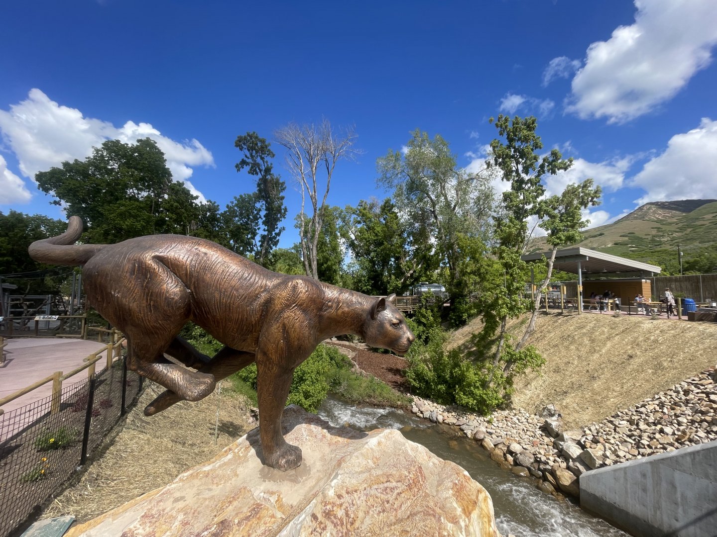 Cougar Statue