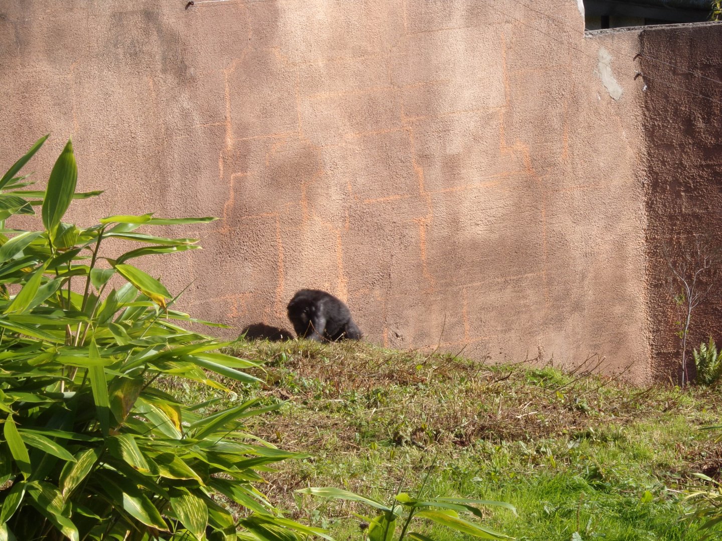 Could be an anti-zoo poster 16.9.24