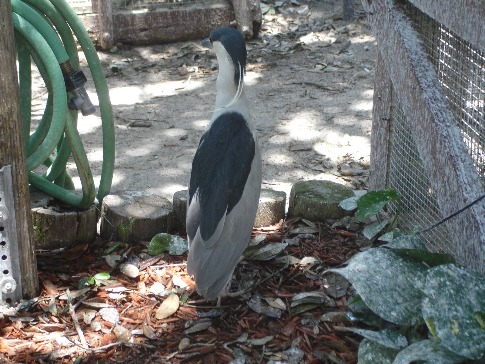 could someone turn on this hose please?