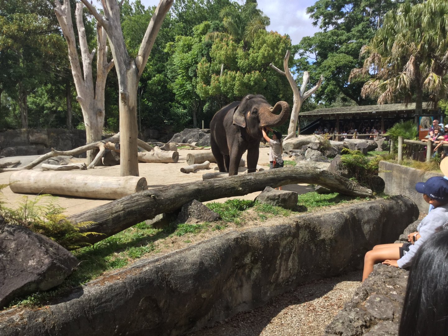Counting Burma’s Teeth