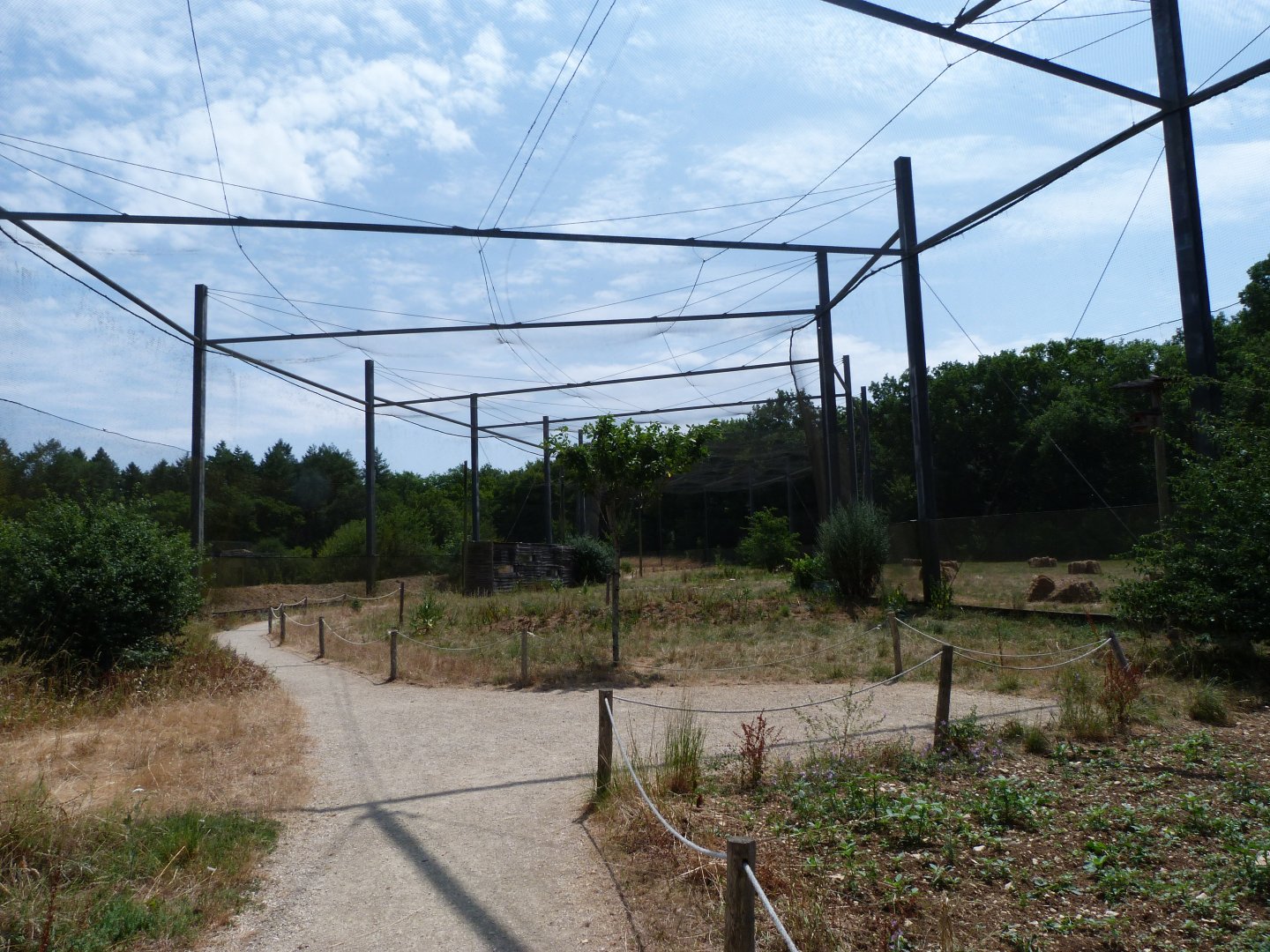 Countryside aviary -Zoodyssée (2025)