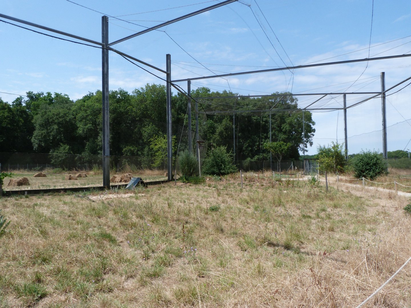 Countryside aviary -Zoodyssée (2025)