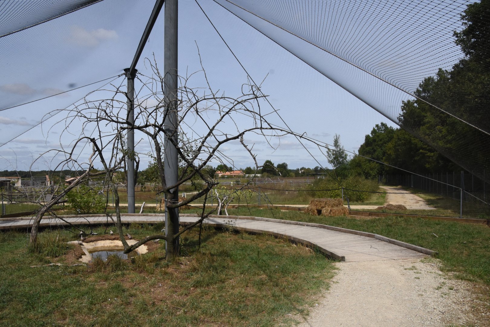 Countryside - Egret & Turtle Dove aviary