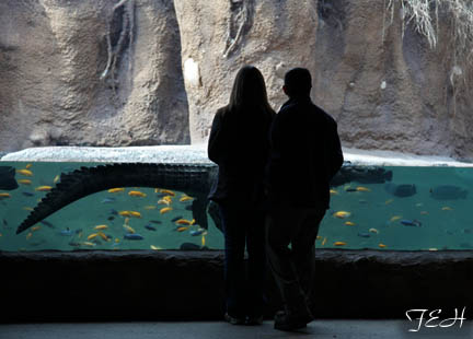 couple with nile croc - Feb 2012