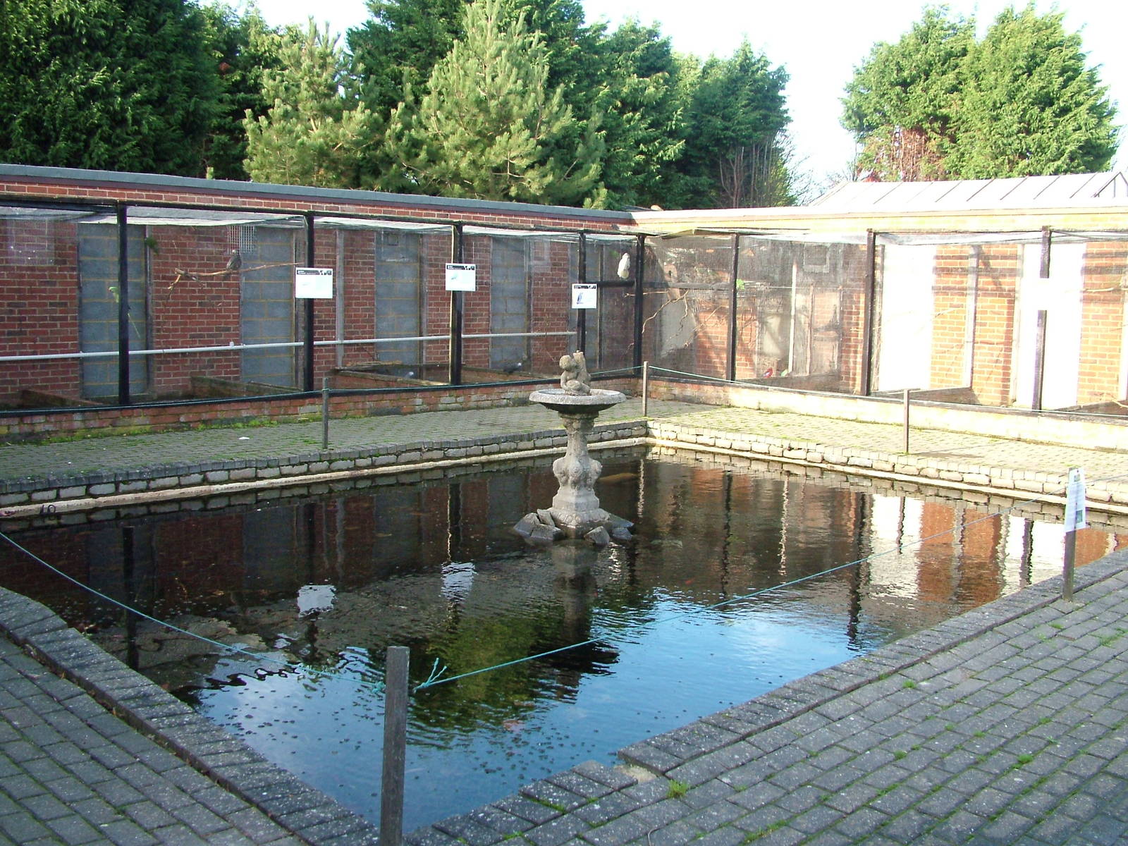 Courtyard aviaries at Wingham 28/11/09