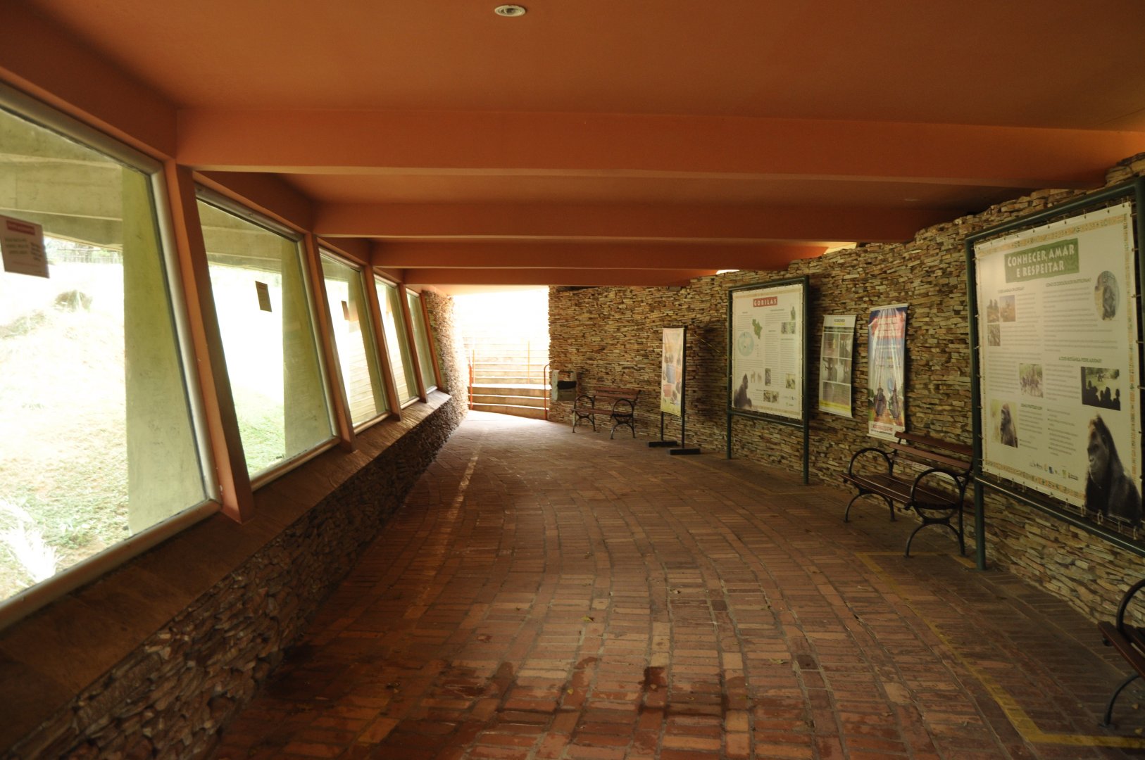 Covered gallery looking into the gorilla territory