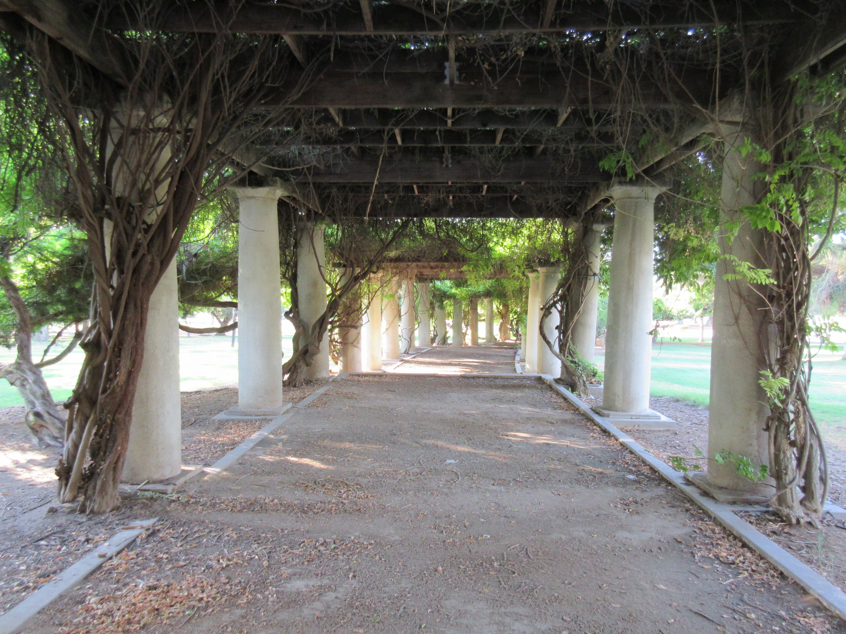 Covered Pathway  (not connected to the zoo but inside Roeding Park)