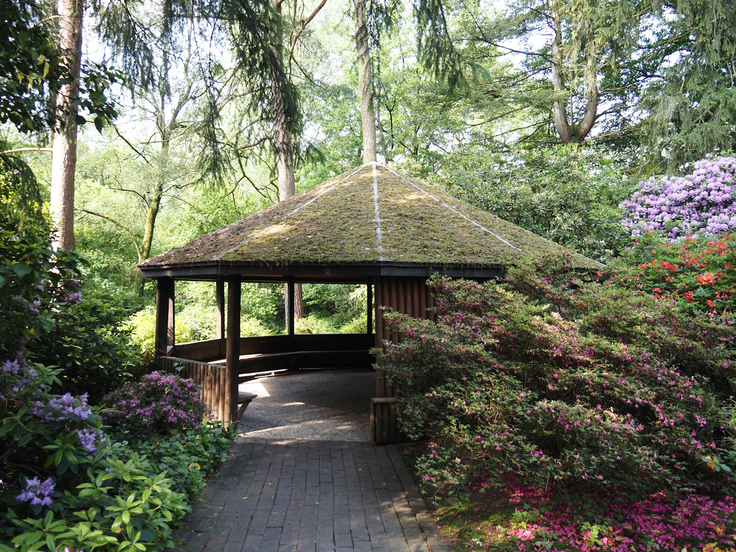 Covered sitting area with view of forest lake, 2024-05-24