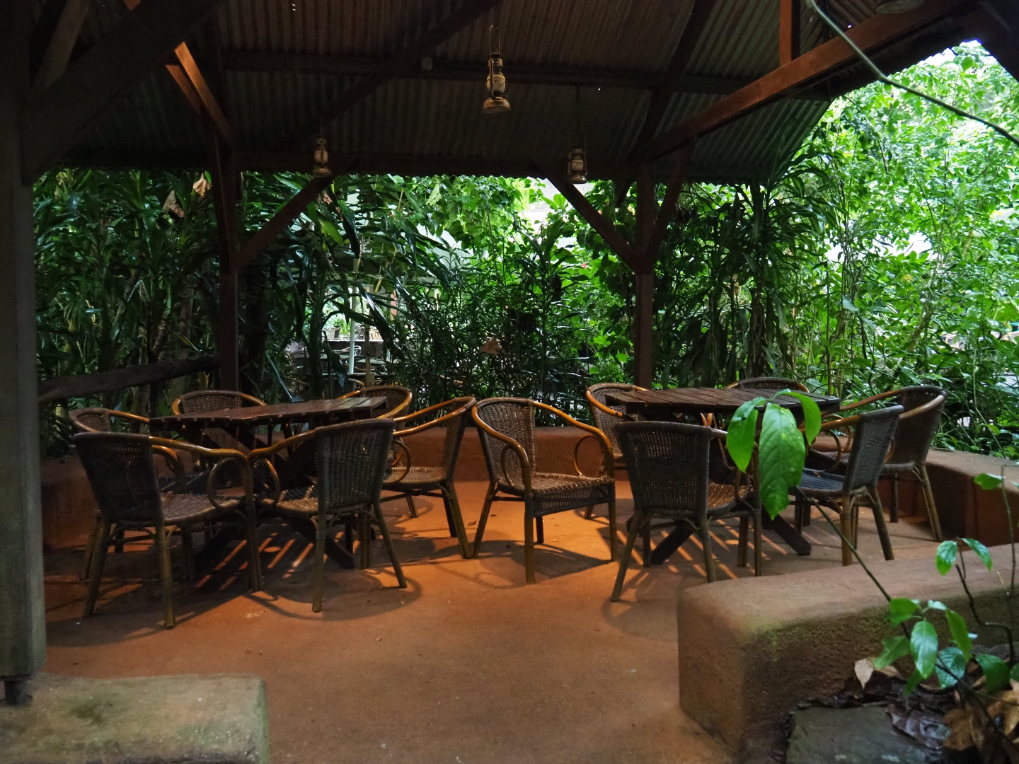 Covered terrace area (Sep 16th, 2018)