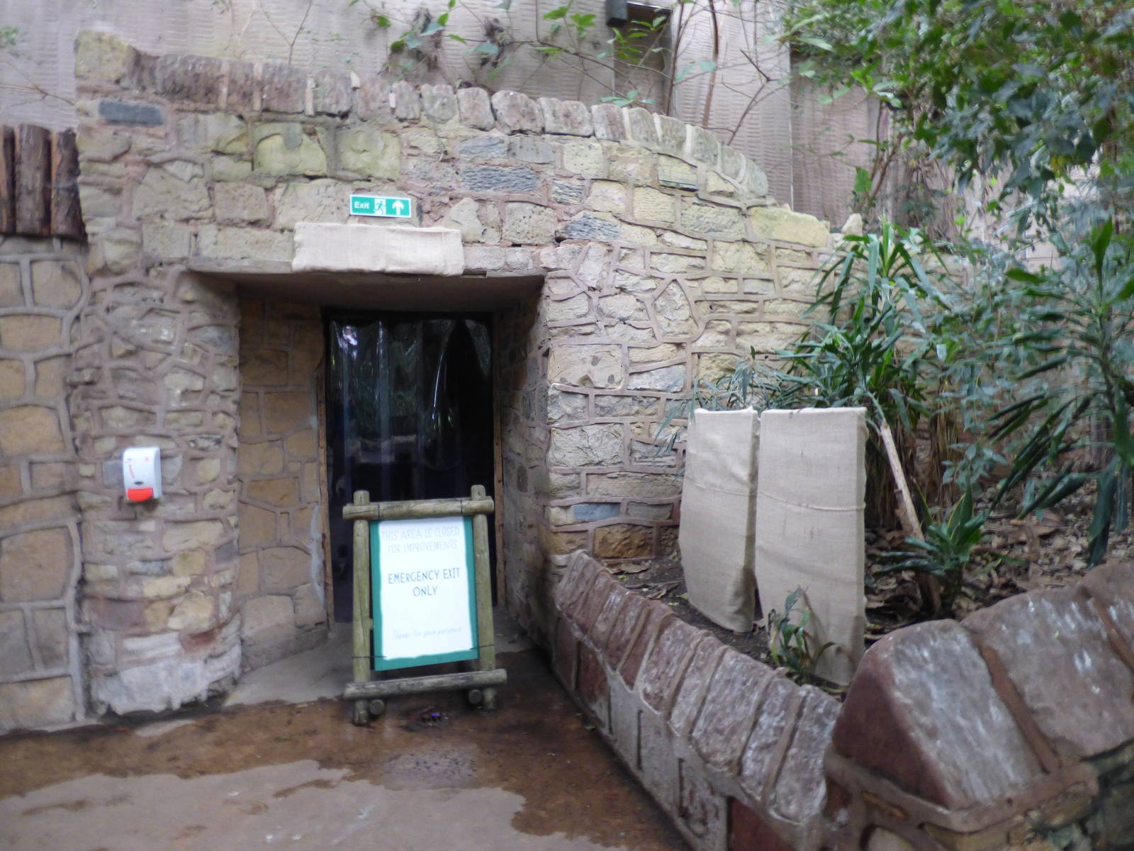 Covered up Aye-Aye signage