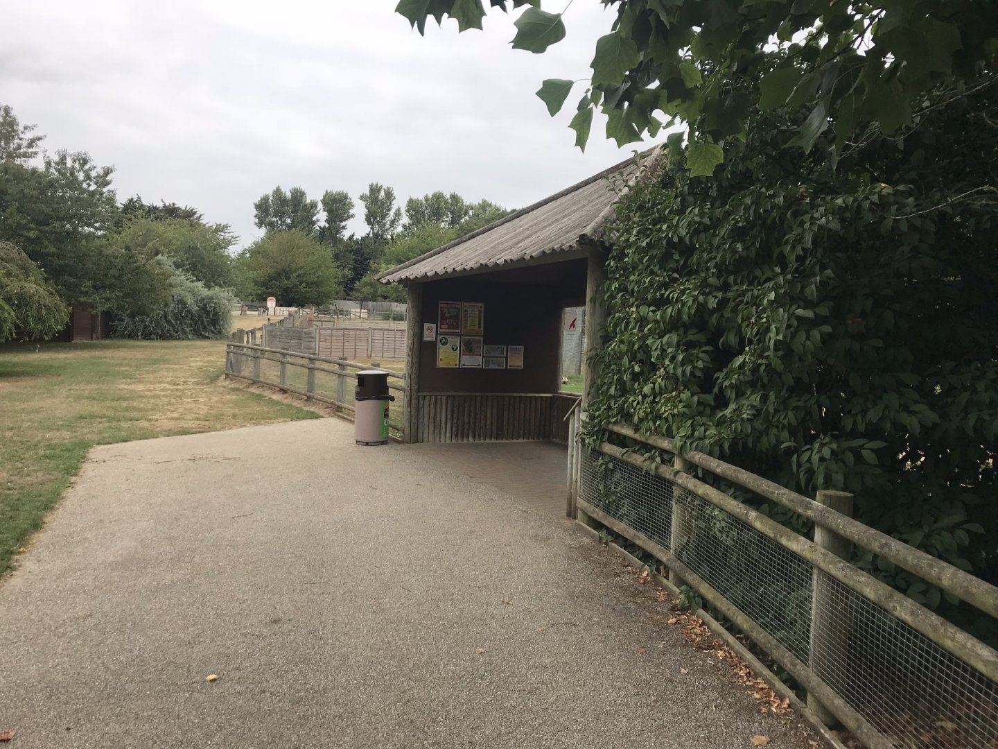 Covered viewing area for African hunting dogs 080818