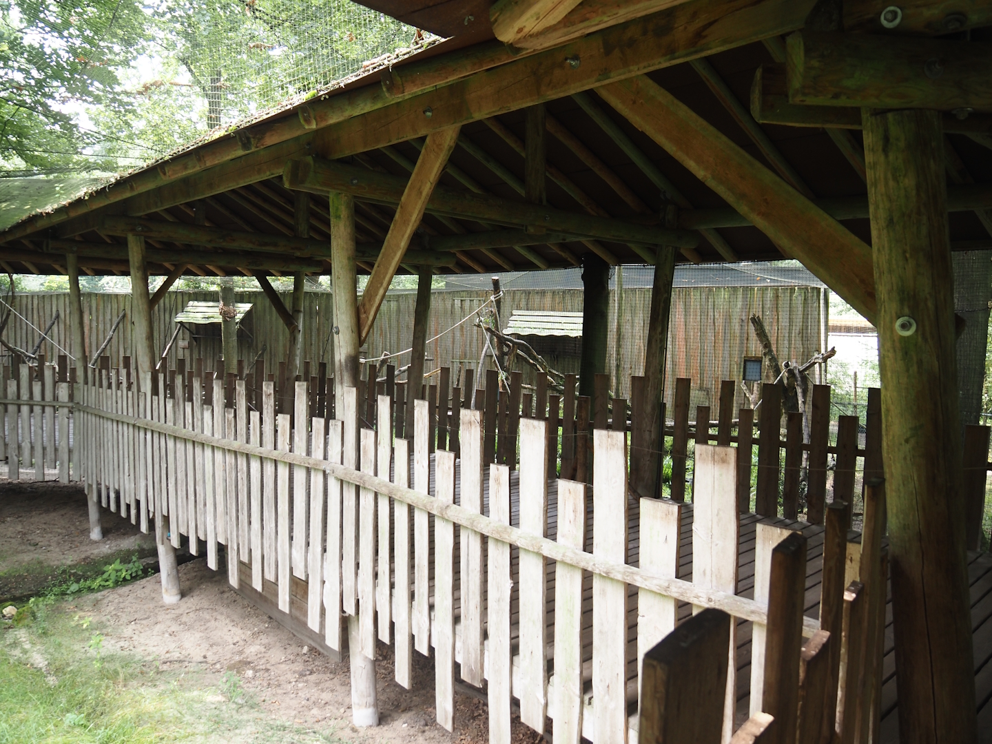 Covered visitor boardwalk in the Hanuman langur walk-through exhibit, 2024-08-18