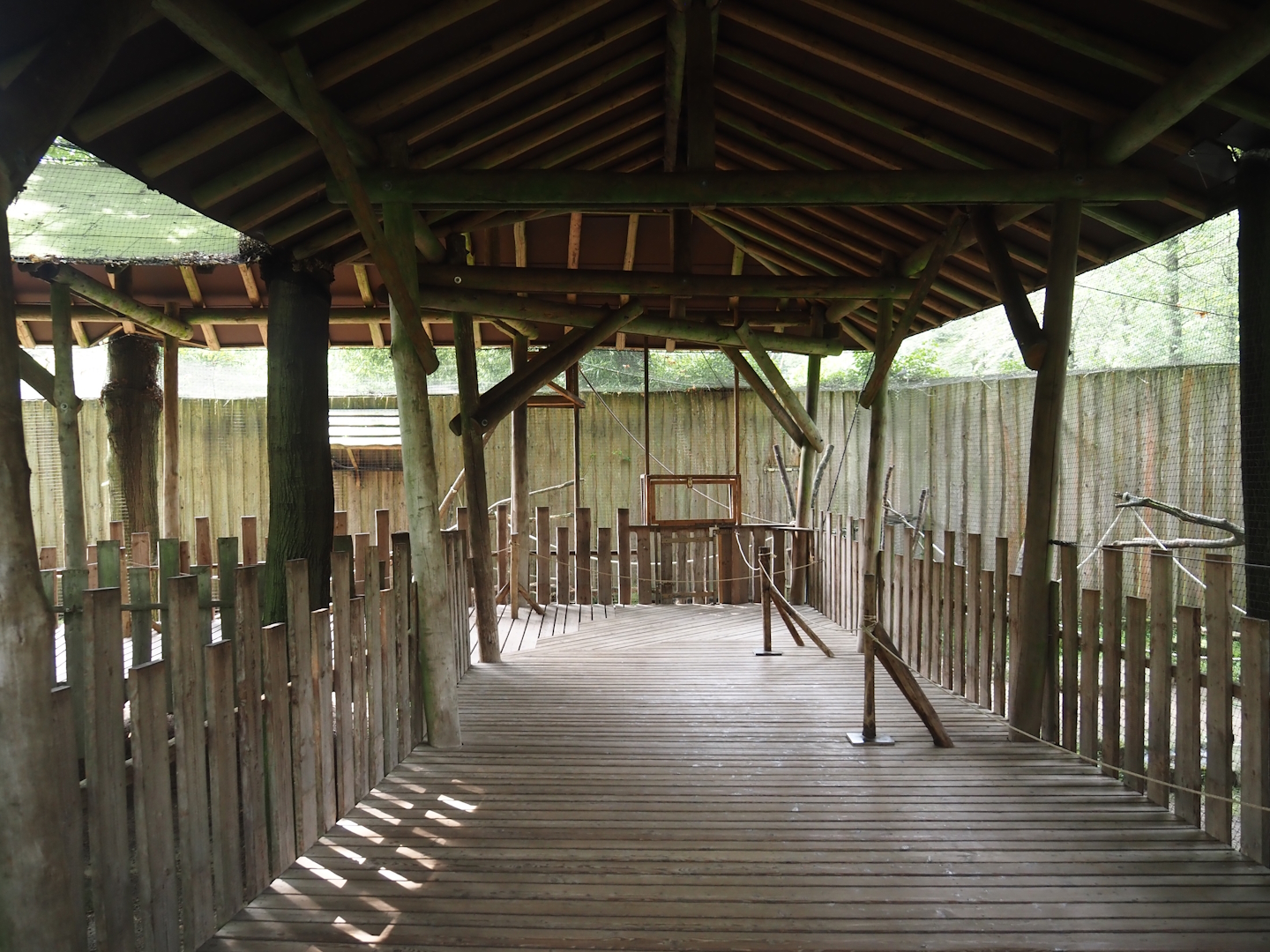 Covered visitor boardwalk in the Hanuman langur walk-through exhibit, 2024-08-18