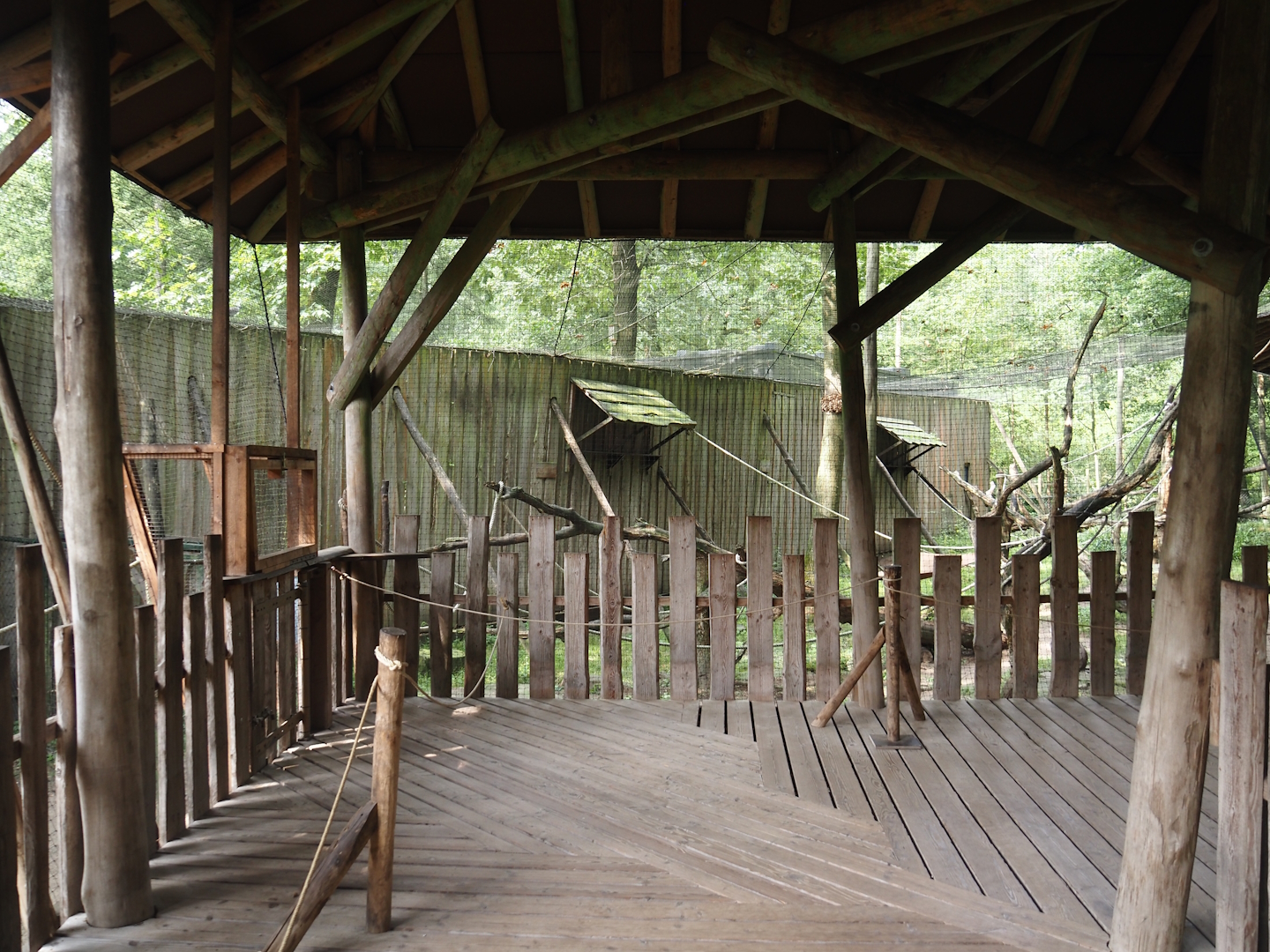 Covered visitor boardwalk in the Hanuman langur walk-through exhibit, 2024-08-18