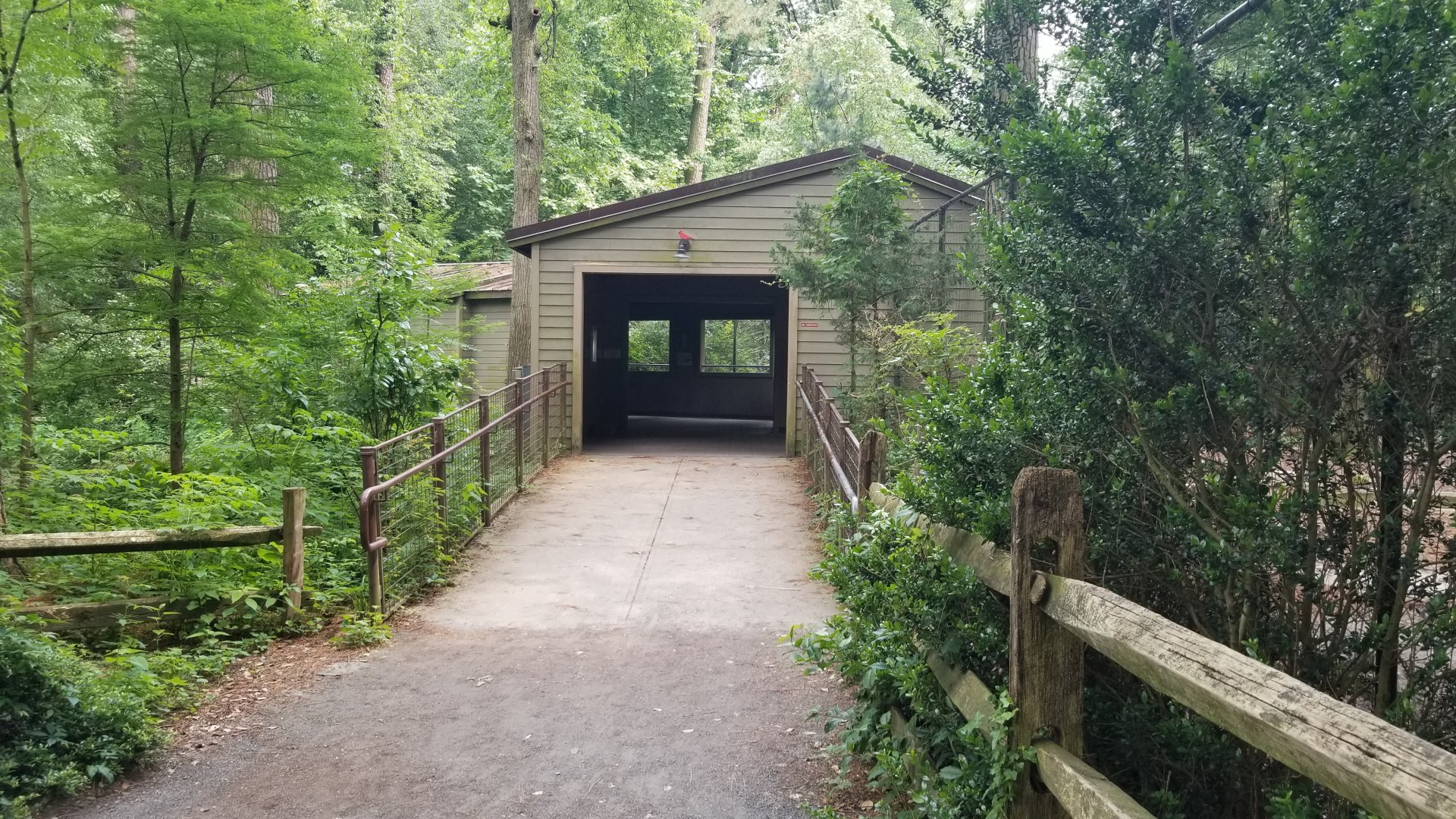 Covered walkway for deer/wolf viewing