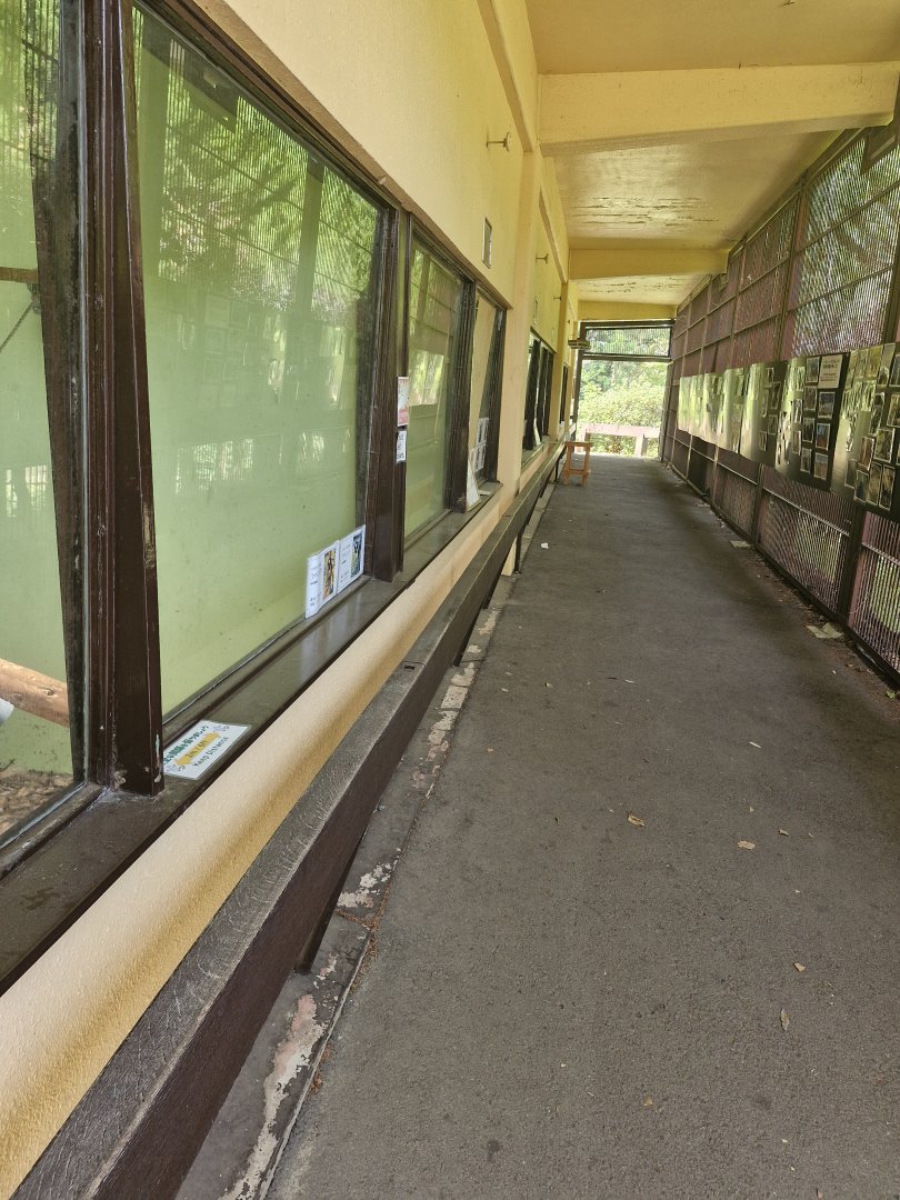 Covered walkway lemur complex