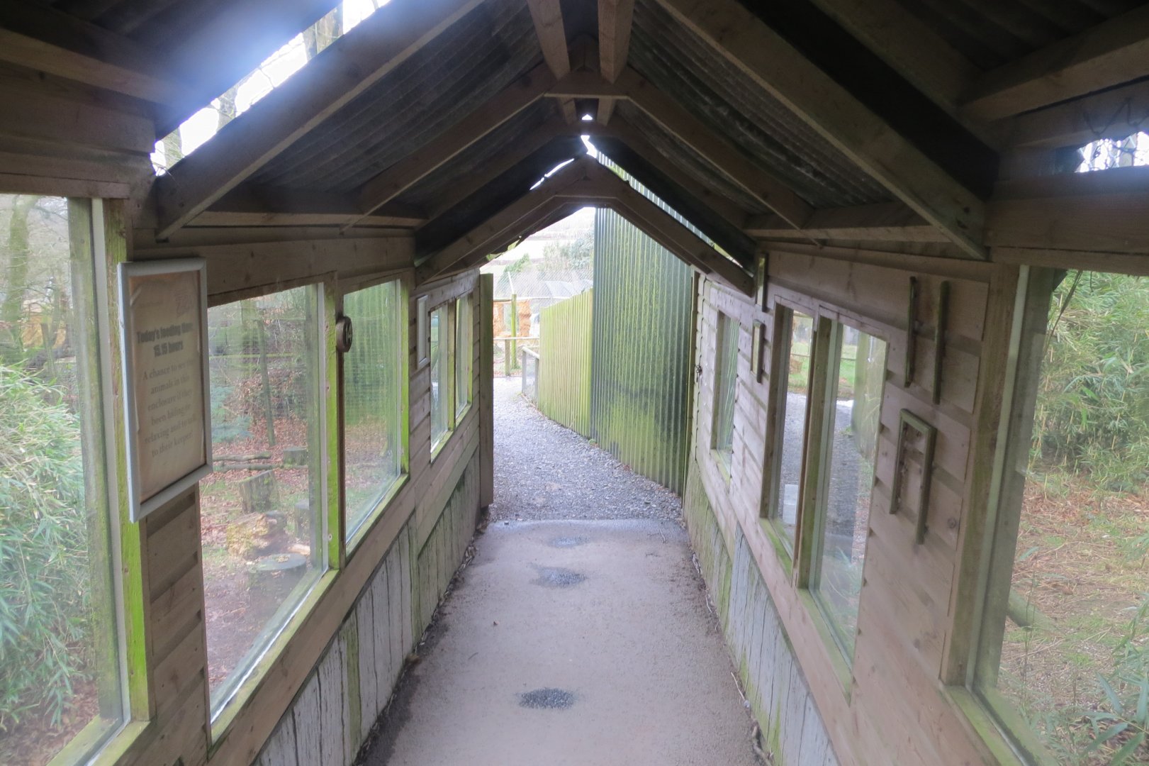 Covered walkway next to Bush dog enclosure 040319