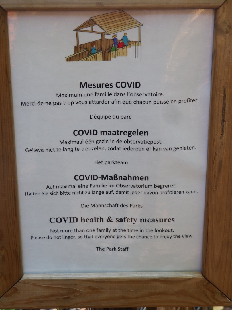 Covid-19 measures for viewing areas signage, 2020-07-12