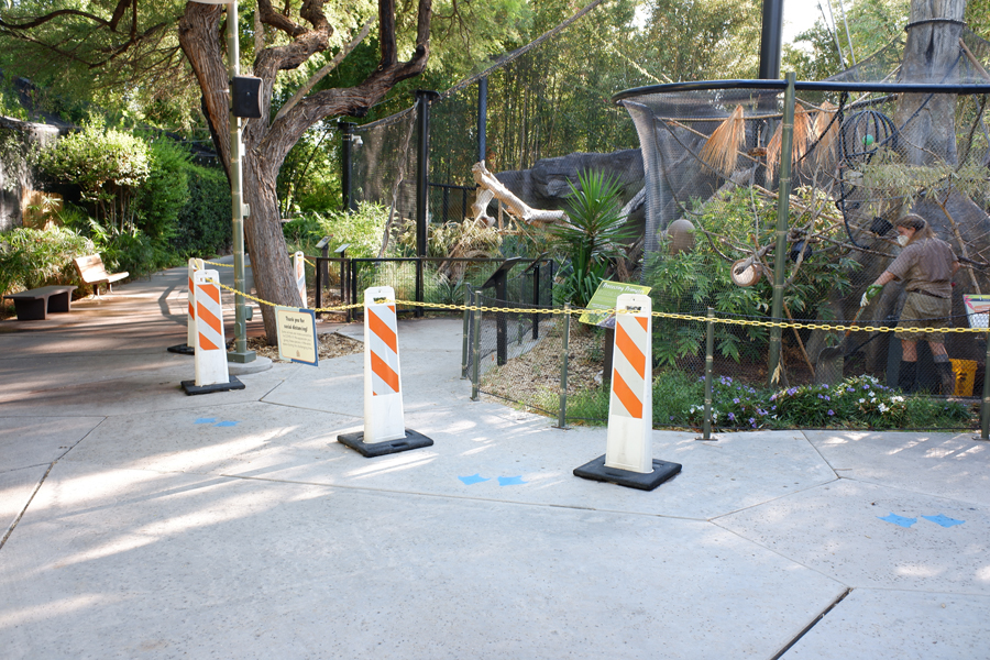 covid barriers at squirrel monkey and jaguar