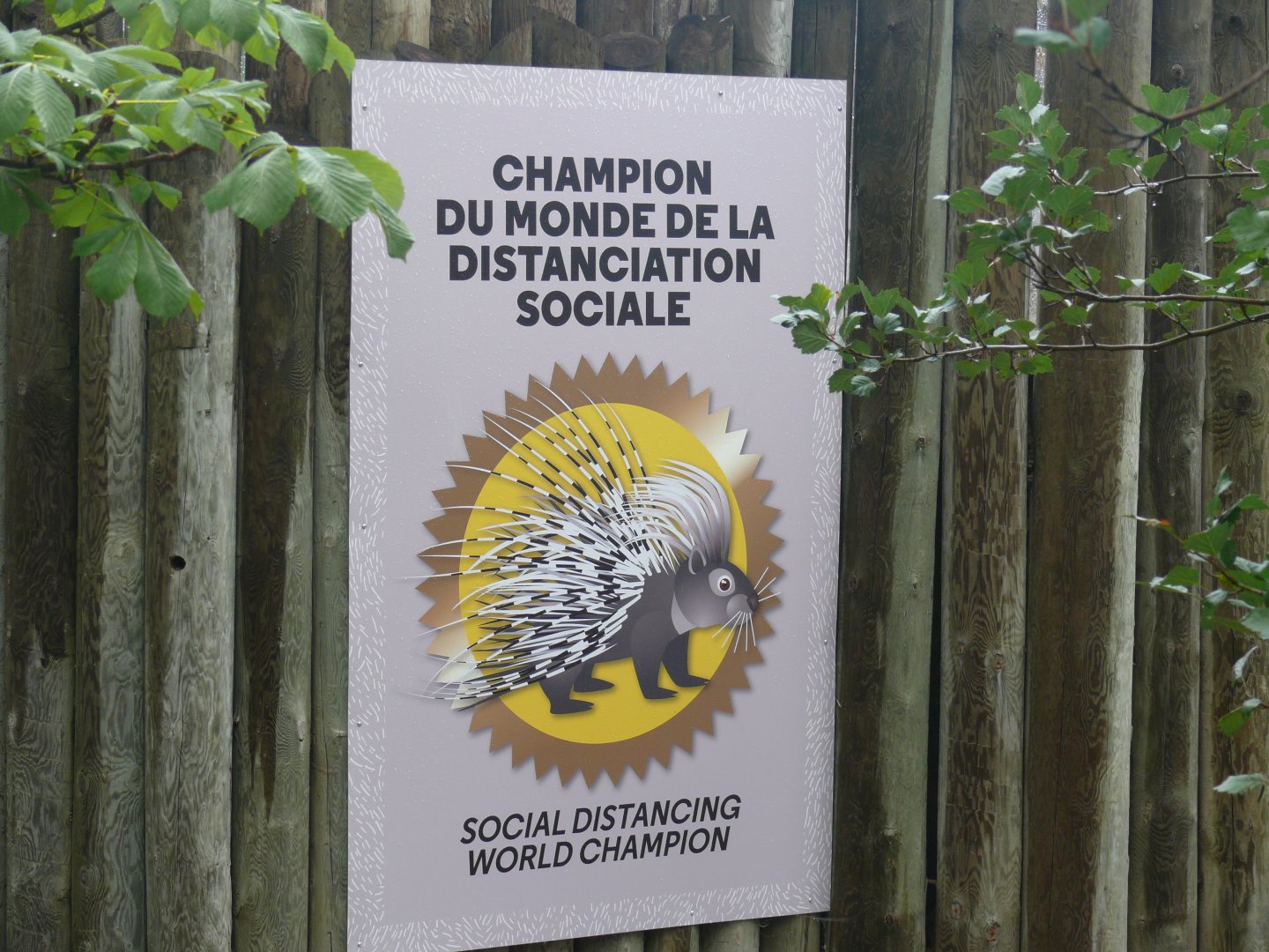 COVID-time at the zoo - 24-08-2020