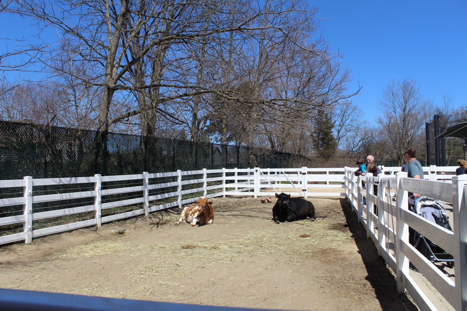 Cow Pen - Discovery Barn