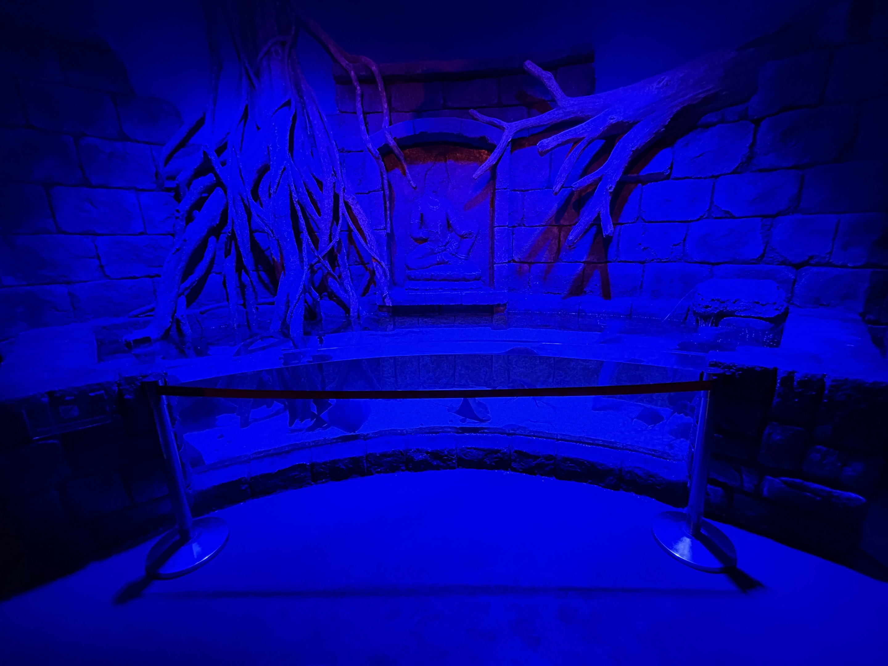 Cownose Ray Exhibit - BXSea Aquarium