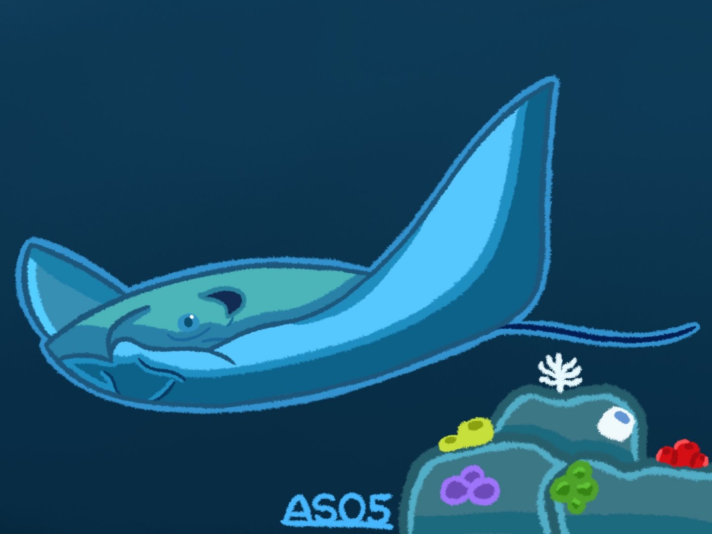 Cownose Ray (Remastered 2024)