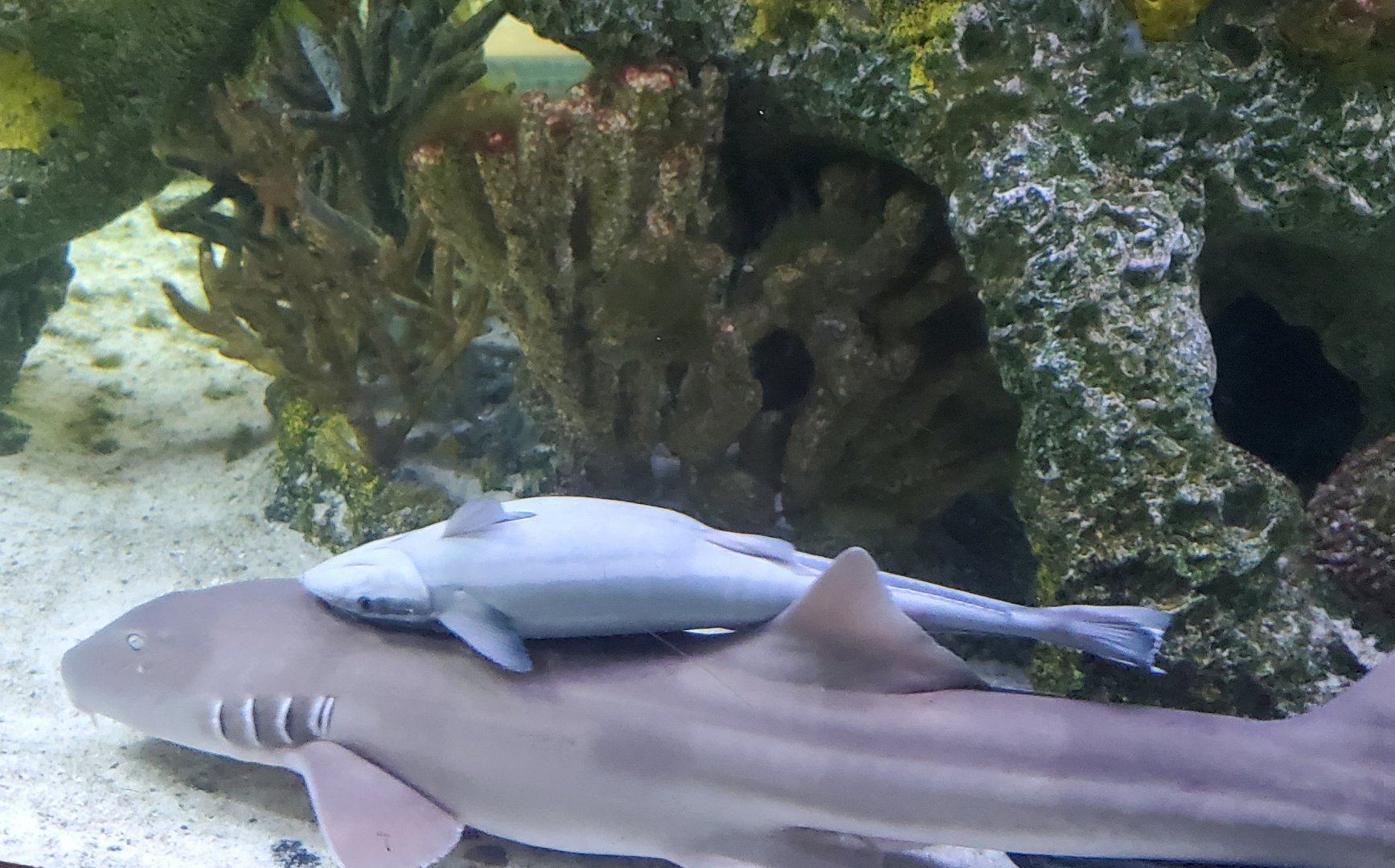 Cox Science Center & Aquarium (2021) - Best Friends