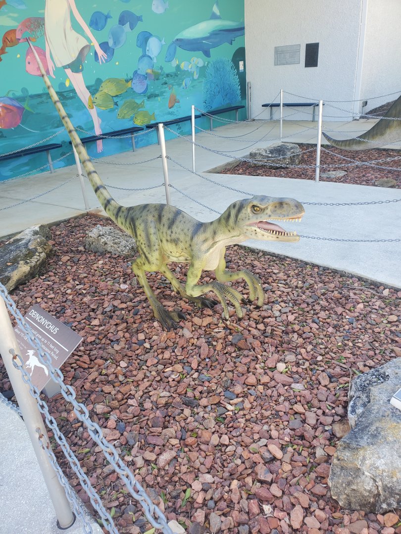 Cox Science Center & Aquarium (2021) - Outdated Dinosaur Statues