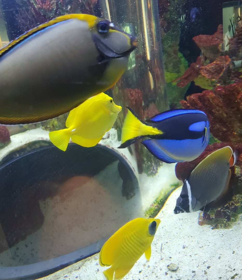 Cox Science Center & Aquarium (2021)