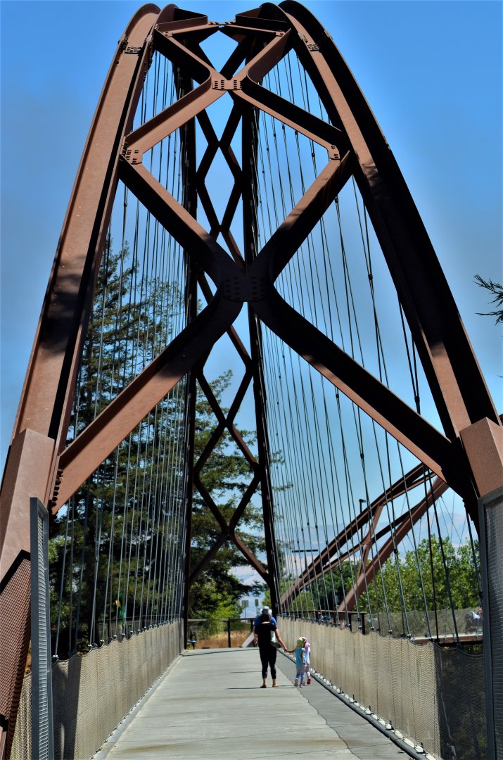Coyote Creek Bridges