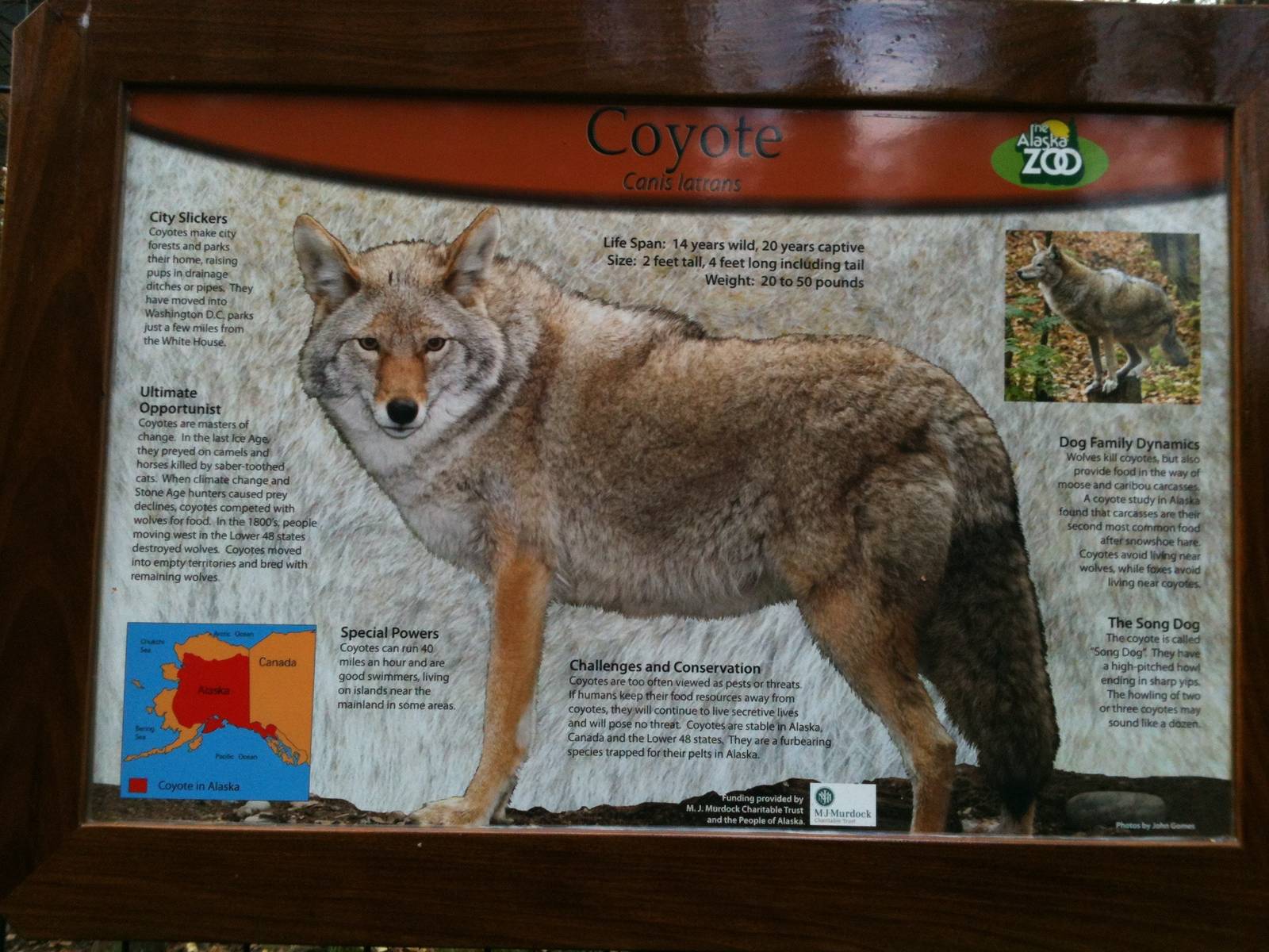 Coyote Educational Sign