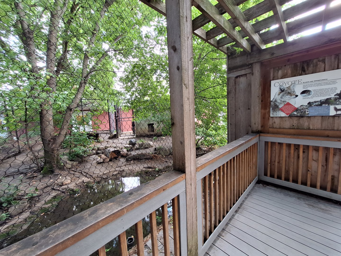 Coyote enclosure back side