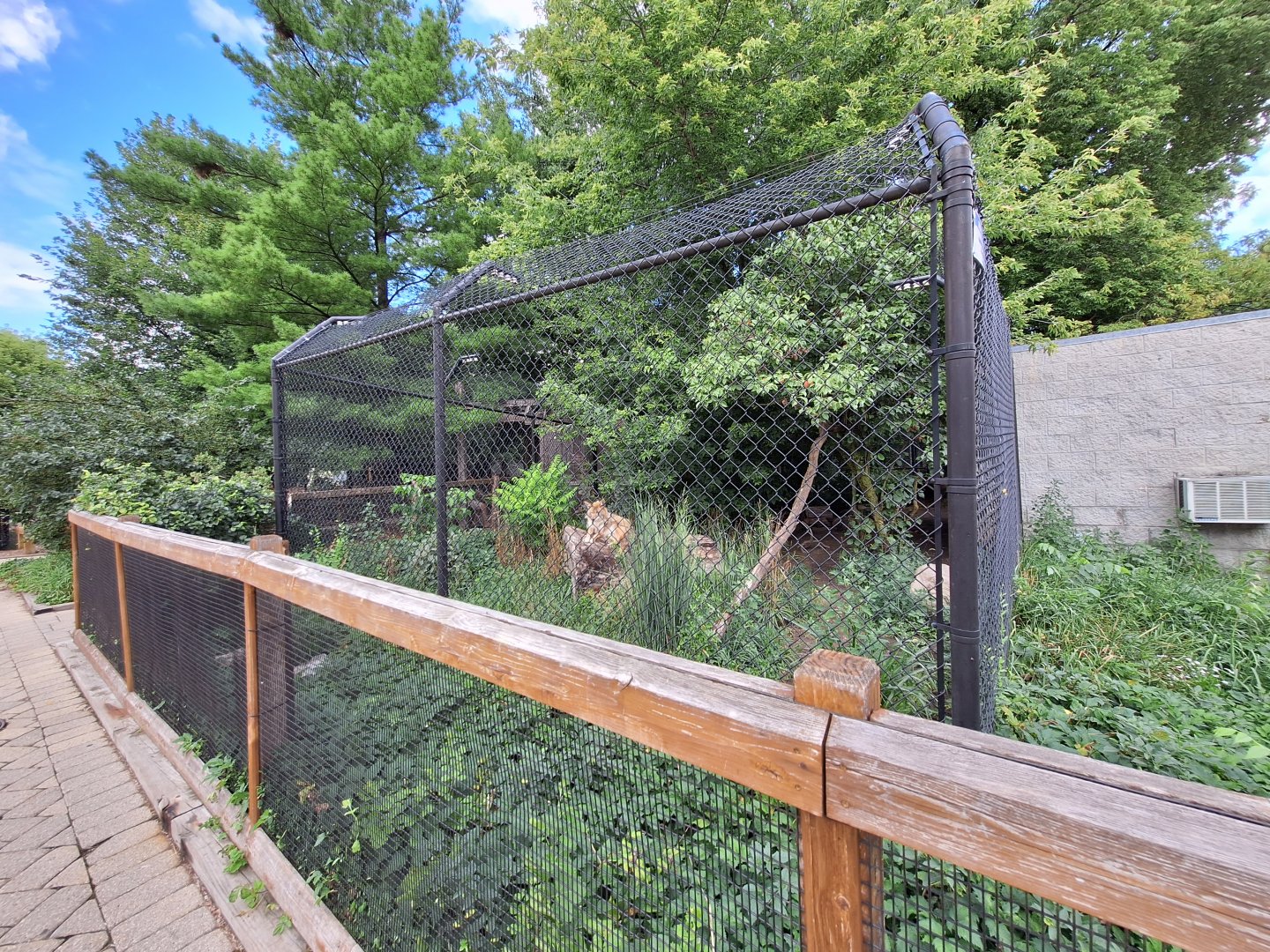 Coyote enclosure front side