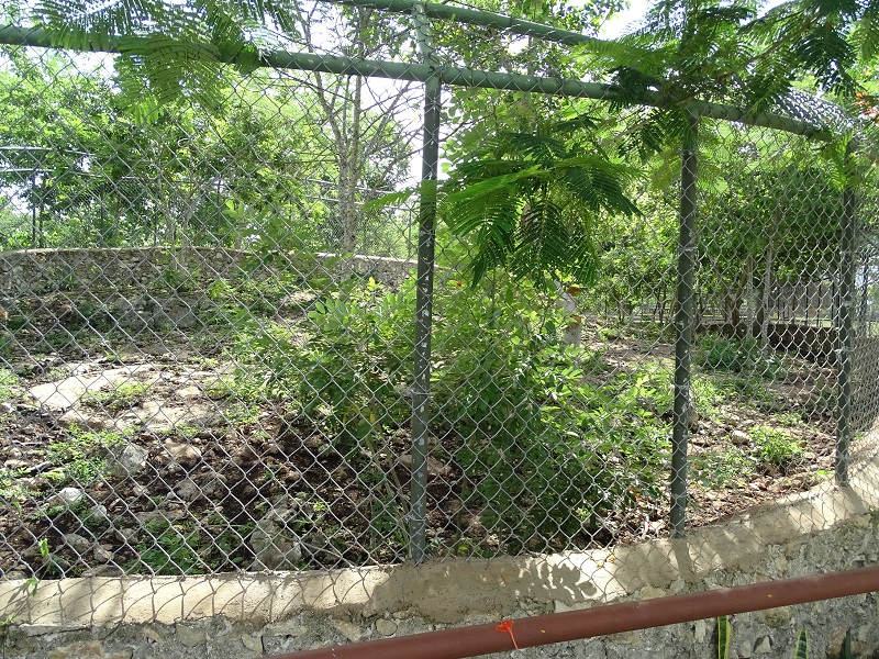 Coyote enclosure