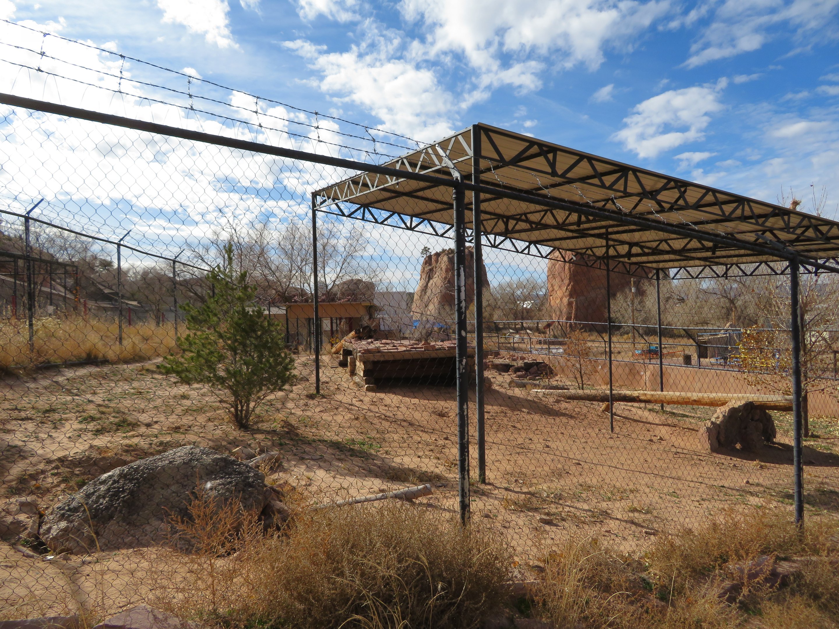 Coyote Enclosure