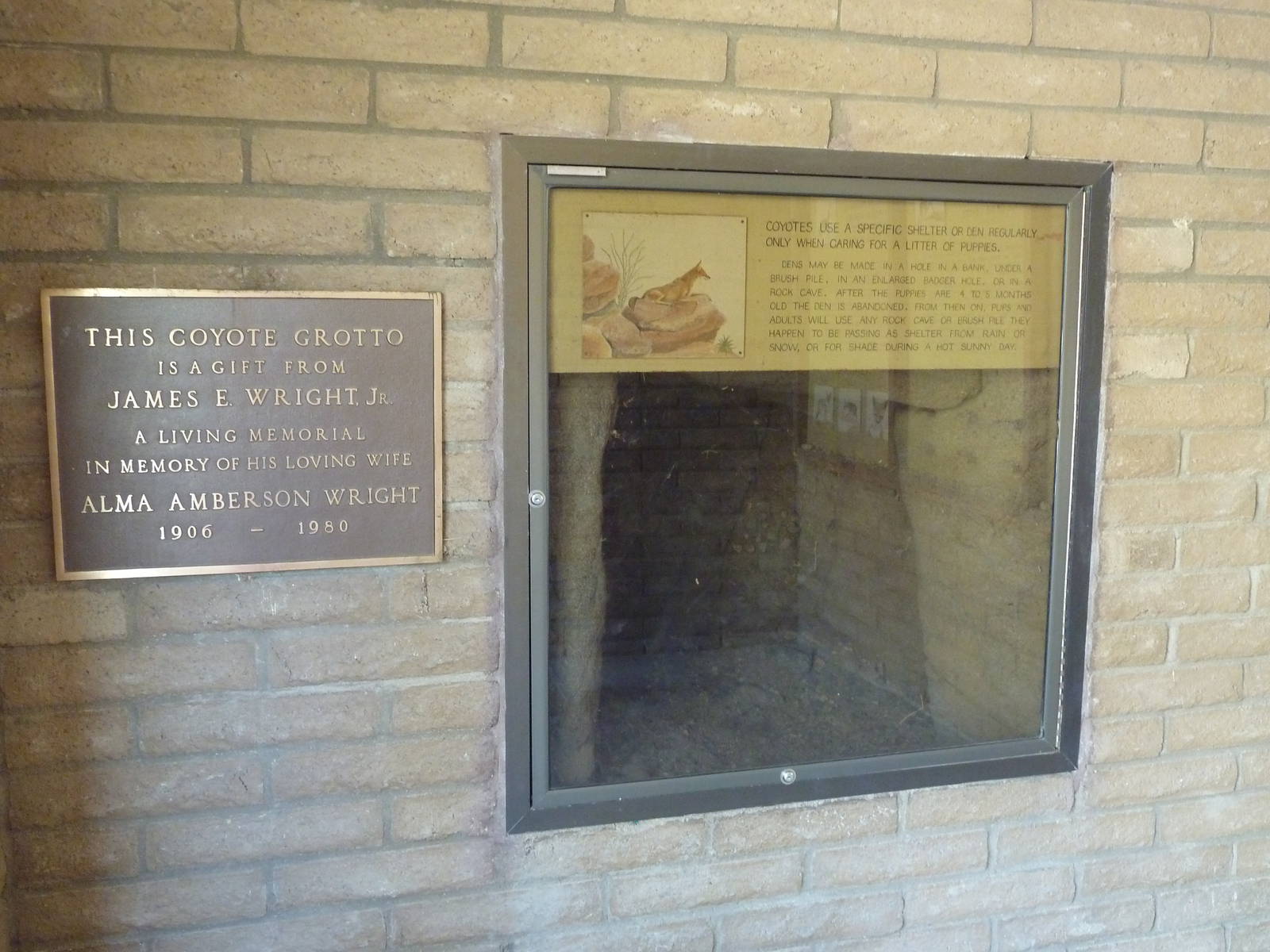 Coyote Exhibit - Den