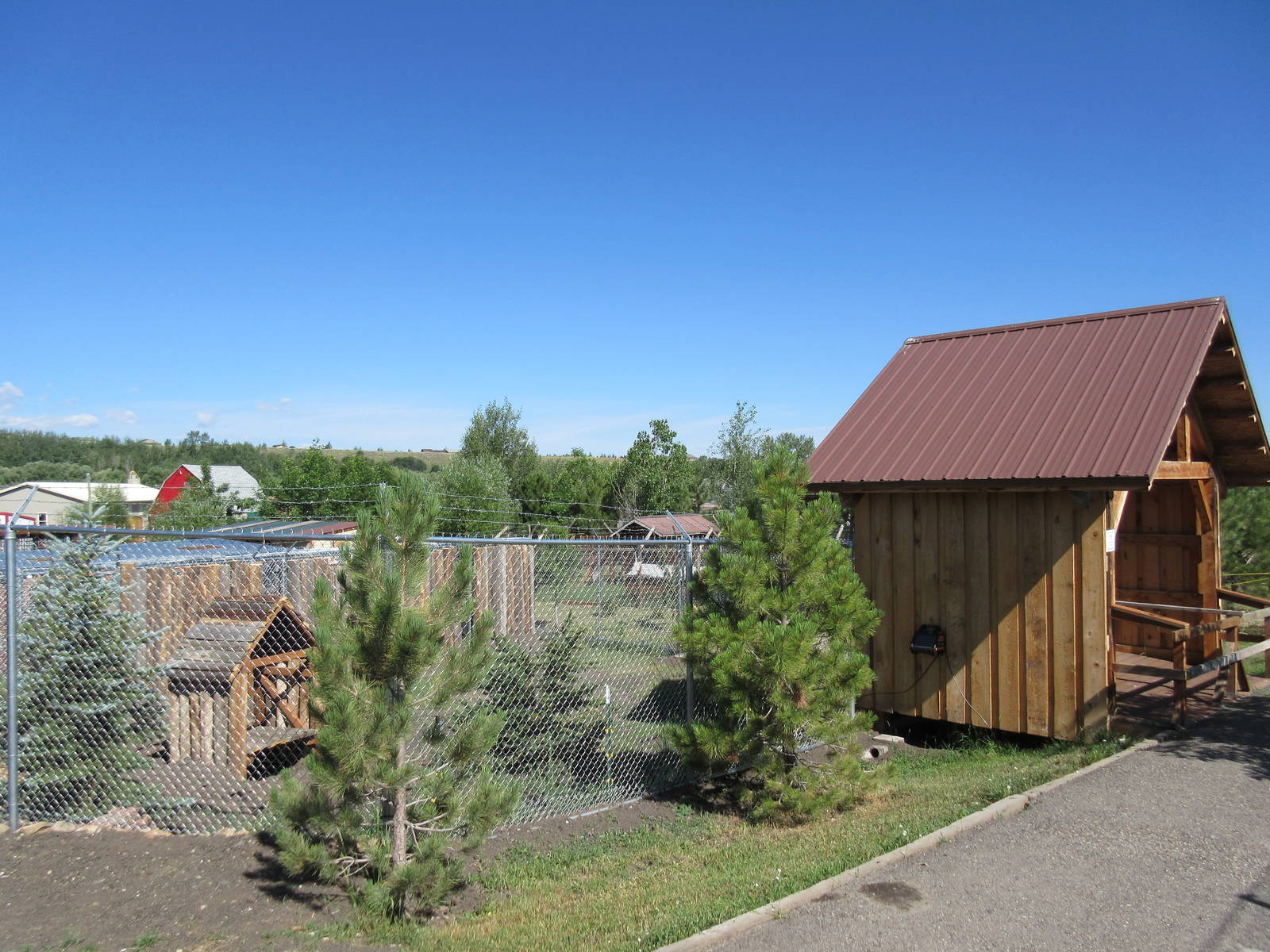 Coyote Exhibit - New in 2015