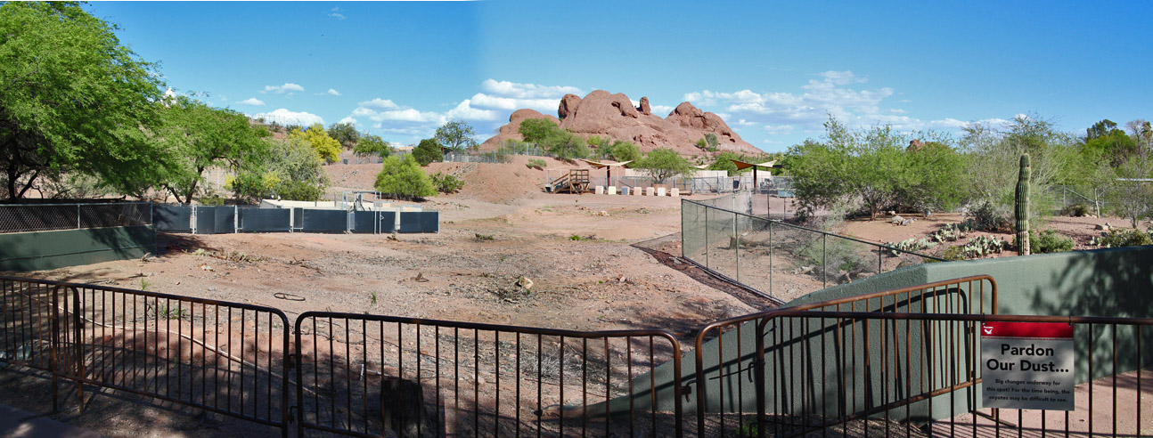 Coyote exhibit renovation