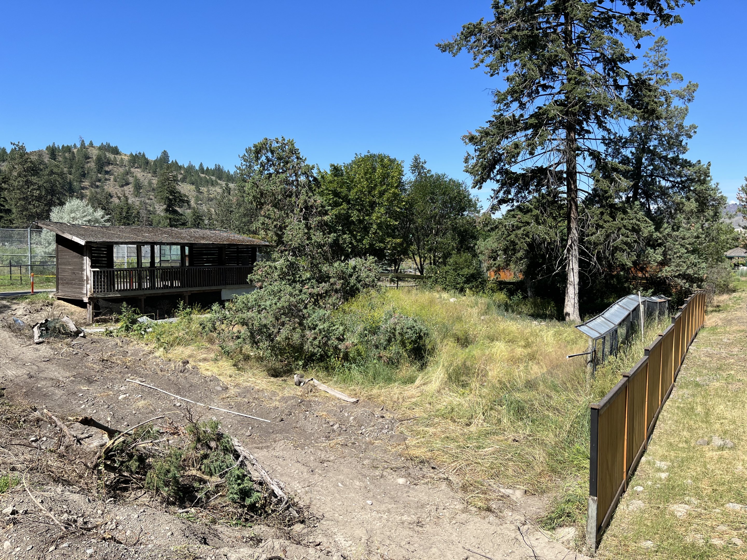 Coyote Exhibit - under renovation