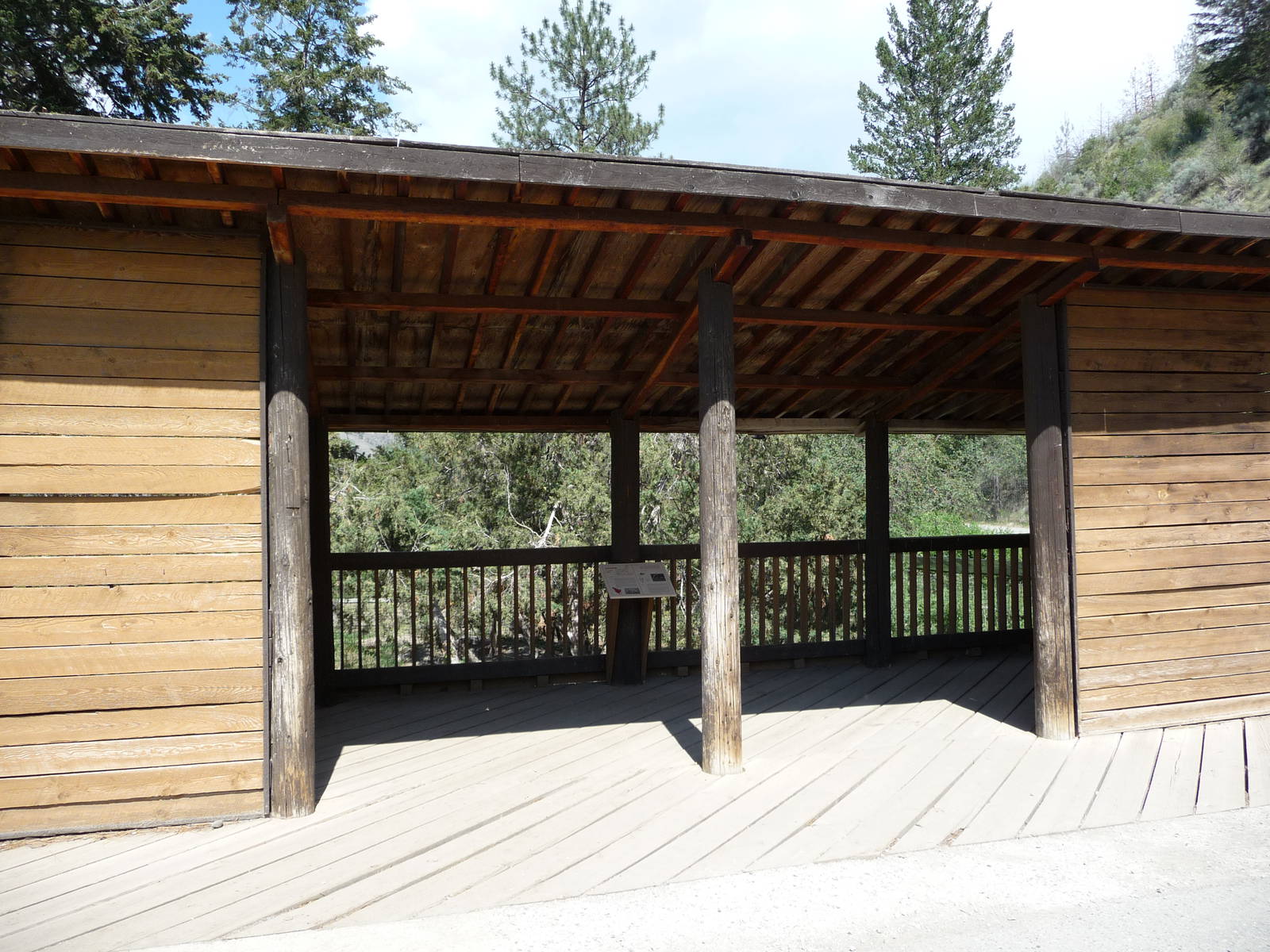 Coyote Exhibit - Viewing Platform