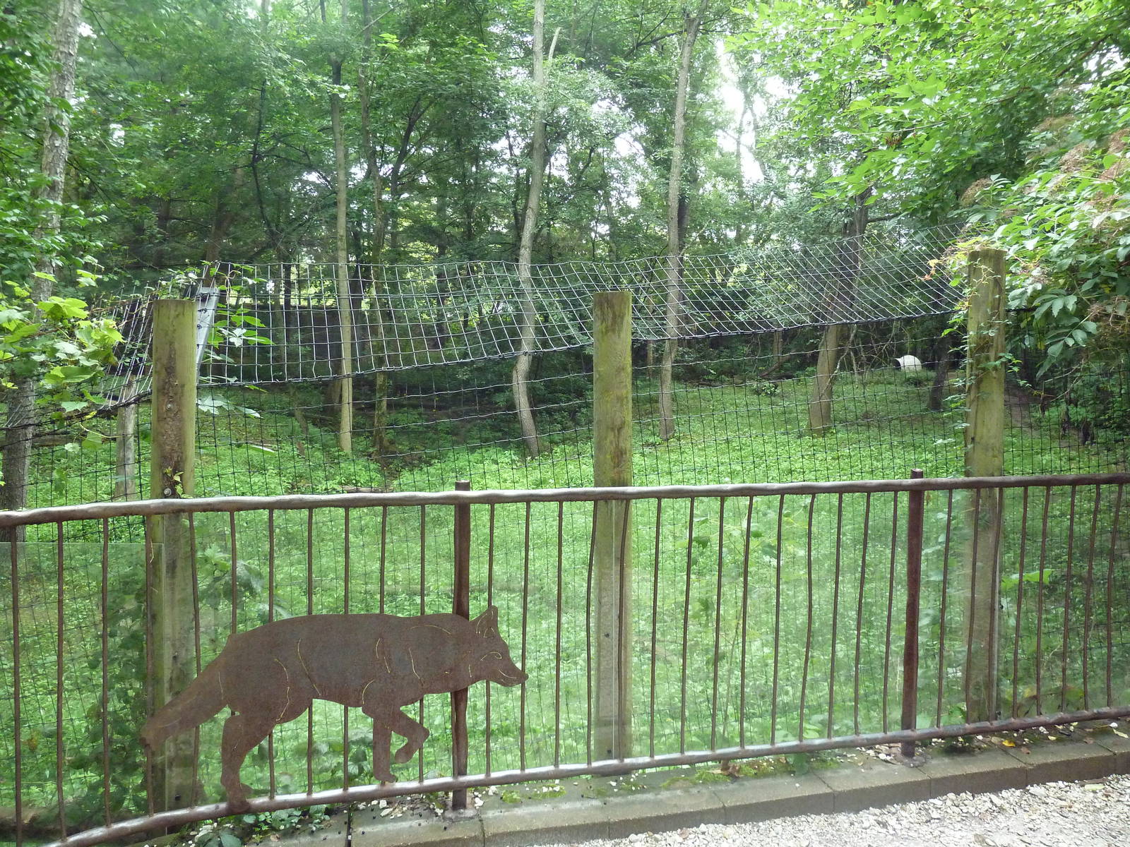 Coyote Exhibit - Viewing Platform